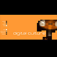 Digital Culture / Loew